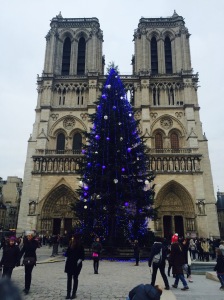 Katedralen Notre Dame med juletre foran.